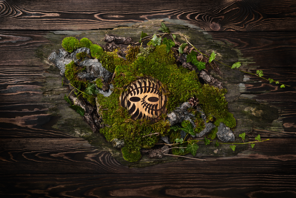 logo dżunglas wśród mchu i kamieni